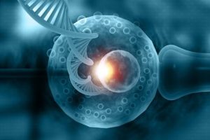 What is pre-implantation testing? And what are its types?