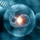 What is pre-implantation testing? And what are its types?