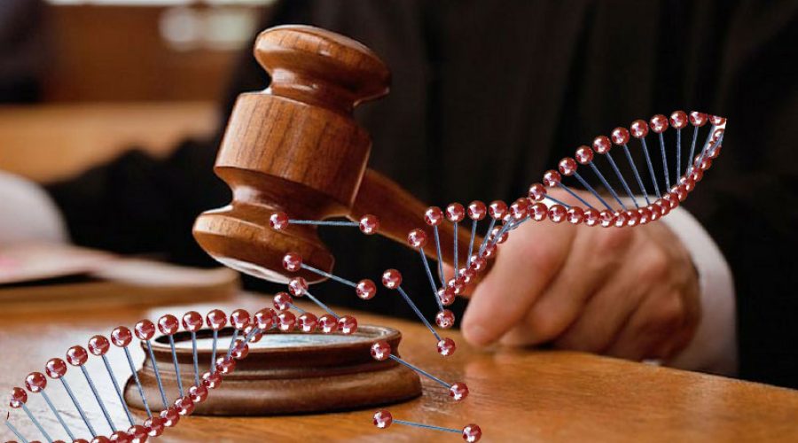 How can DNA testing be useful in court proceedings?