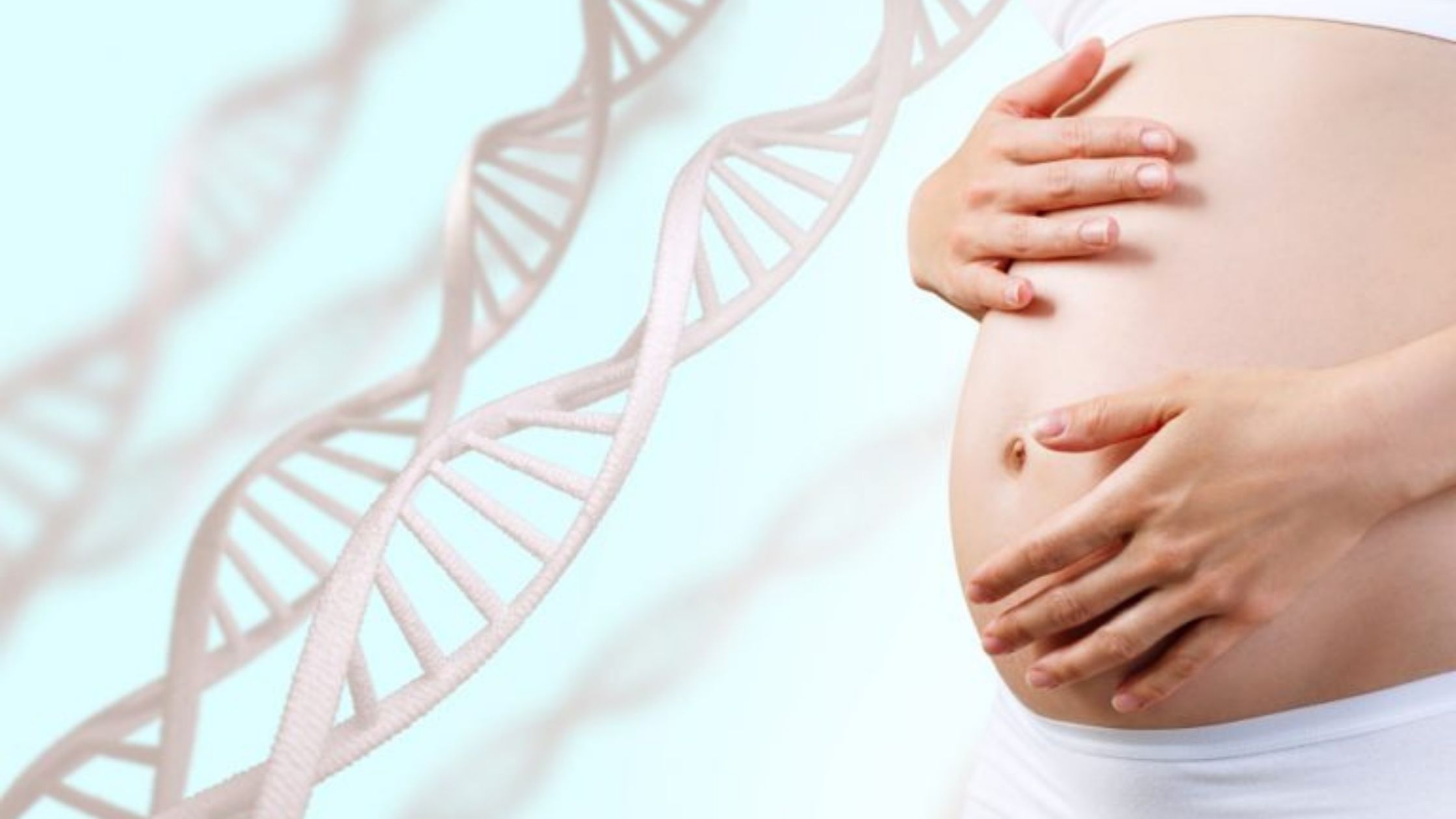 prenatal paternity tests