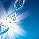 DNA testing options that you might not be aware of!