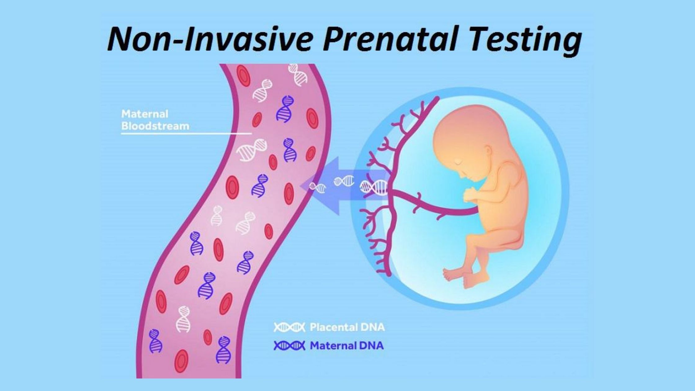 Cell-free fetal DNA